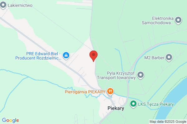 Nowakowska Joanna. Uslugi geodezyjne i kartograficzne