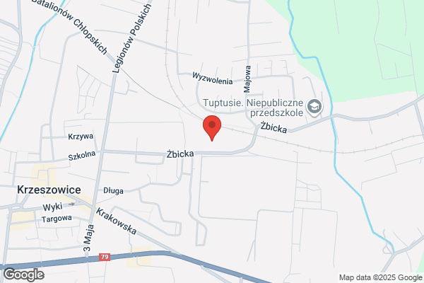 Rozenbajgier Stanislaw. Uslugi transportowe osób