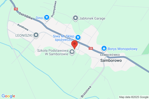 Przedszkole Samorzadowe