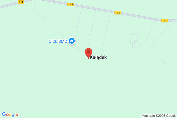 An-Tur. Ubezpieczenia Warta. Sokolowska A.