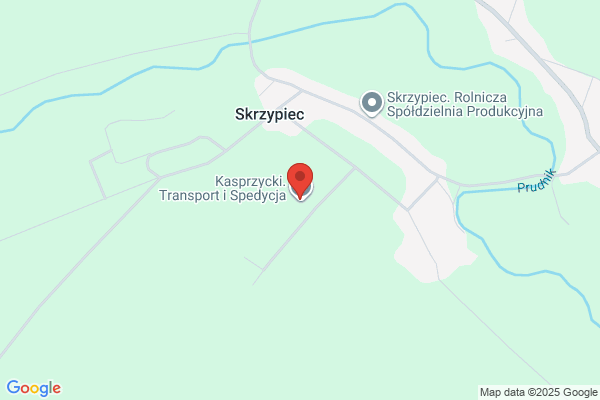 Kasprzycki. PH. Transport miedzynarodowy. Kasprzycki J.