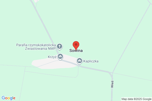 Sawczyn Ryszard. Zaklad malarsko - tapeciarski