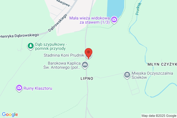 Stadnina Koni Prudnik. Sp. z o.o.