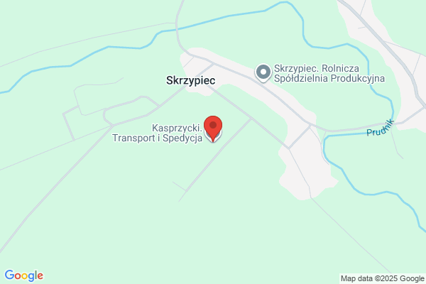 Transdal. Kasprzycki A. Transport krajowy i miedzynarodowy