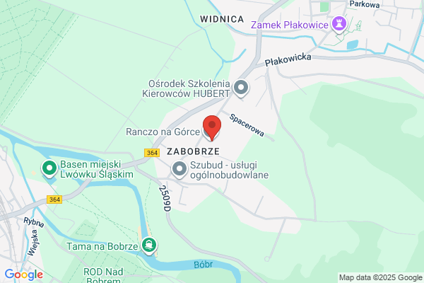 Hodowla psów rasowych