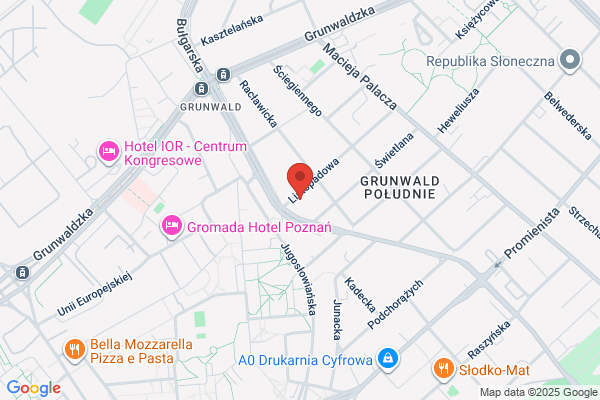 Kärcher. Czyszczenie dywanów, tapicerki meblowej i samochodowej. Palela A.