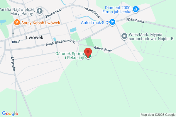 Pogon Lwówek. Lwóweckie Towarzystwo Pilkarskie