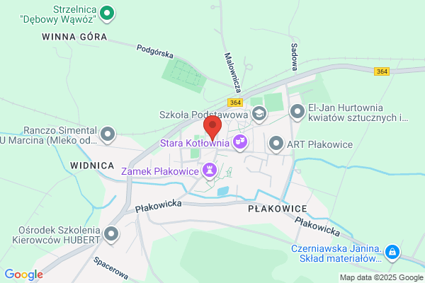 Szkola Podstawowa im. A. Fiedlera
