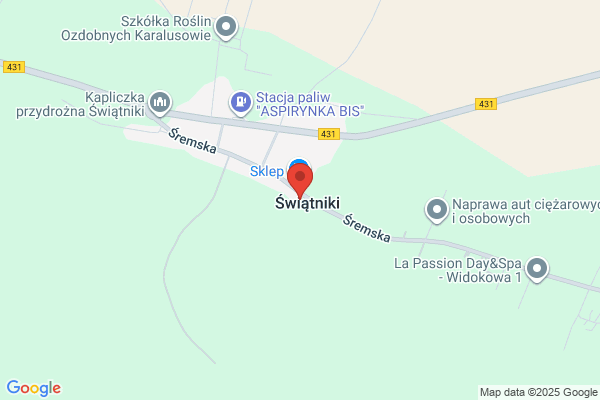 Król Ryszard. Uslugi transportowe