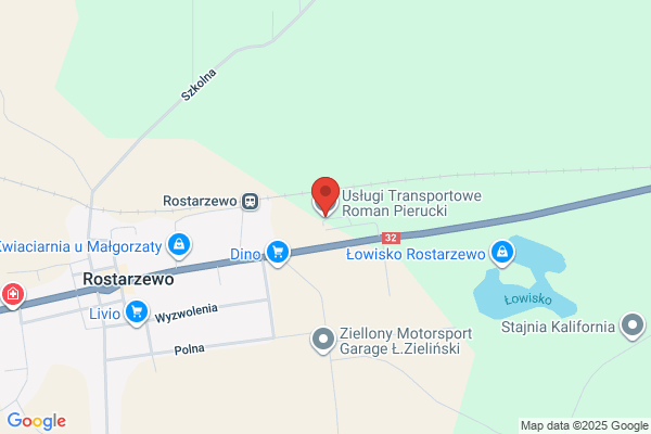 Piechura Roman. Uslugi transportowe