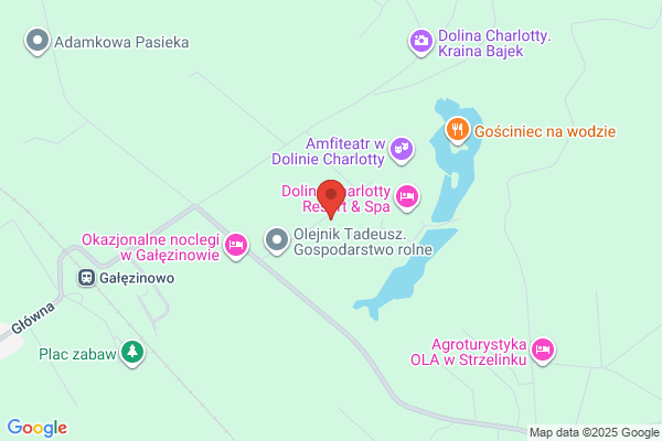 Pacyga Krystyna i Zdzislaw. Agroturystyka