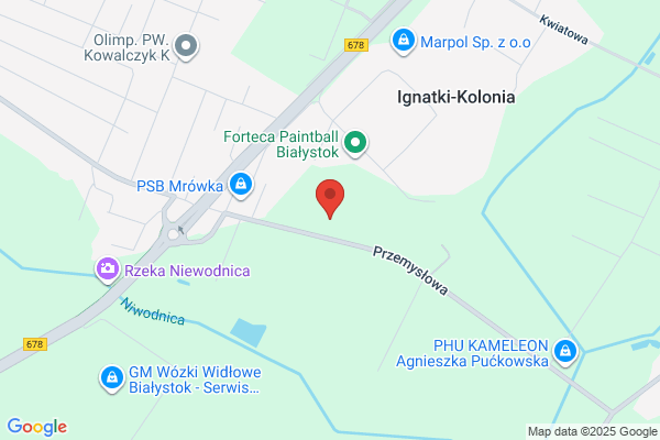 Wojtex. Transport miedzynarodowy, chlodnie