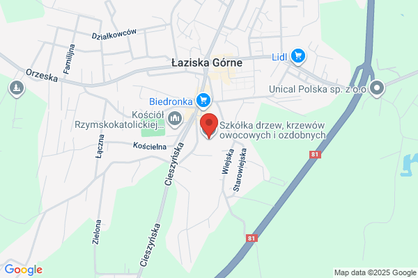 Slota-Szczepek Bozena. Szkólka drzew, krzewów owocowych i ozdobnych
