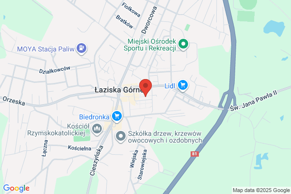 Arnika. Apteka