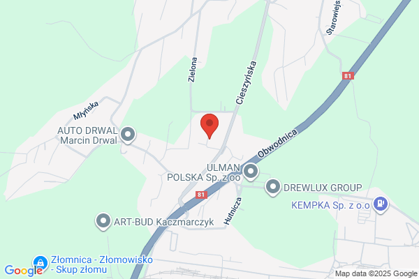 Liceum Ogólnoksztalcace Zespolu Szkól im. Piastów Slaskich