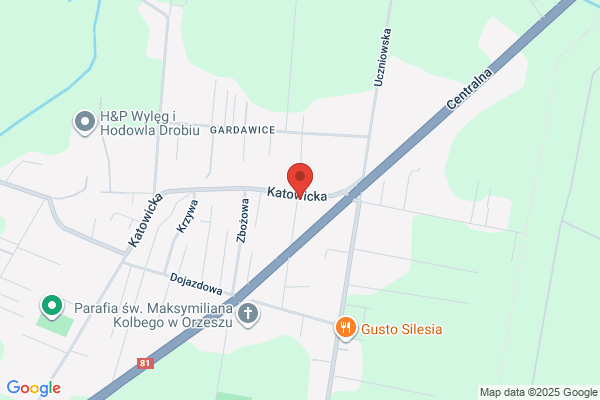 Zogala Dariusz, lek. med. Spec. ortopeda