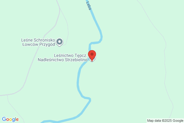 Lesnictwo Wysokie. Nadlesnictwo Strzebielino