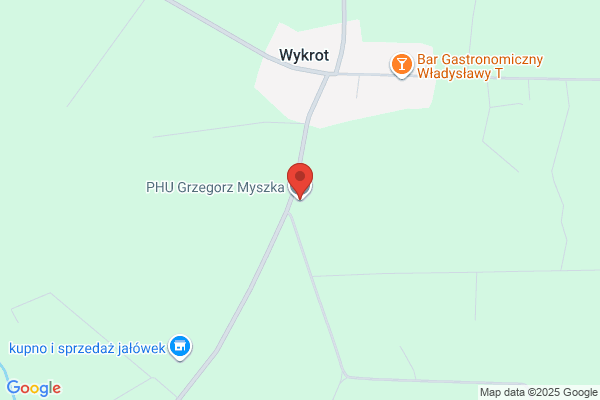 Myszka. Gojtowski C.