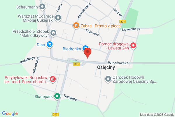 Podgórski Jerzy, lek. wet., Szczypior Andrzej, lek. wet. Przychodnia weterynaryjna