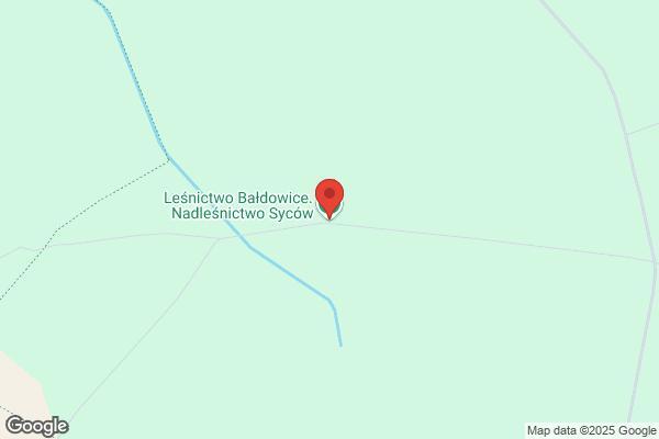 Lesnictwo Baldowice. Nadlesnictwo Syców