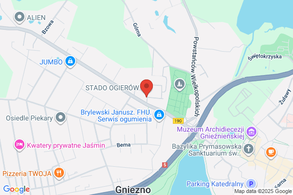 Ogierek. Klub jezdziecki Wielkopolskiego Zwiazku Hodowców Koni