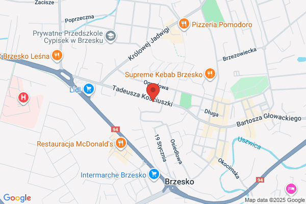 Baster. Sprzedaz, montaz i serwis wkladów kominkowych