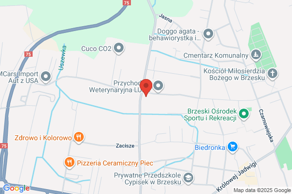 FHU Kama Katarzyna Piechnik