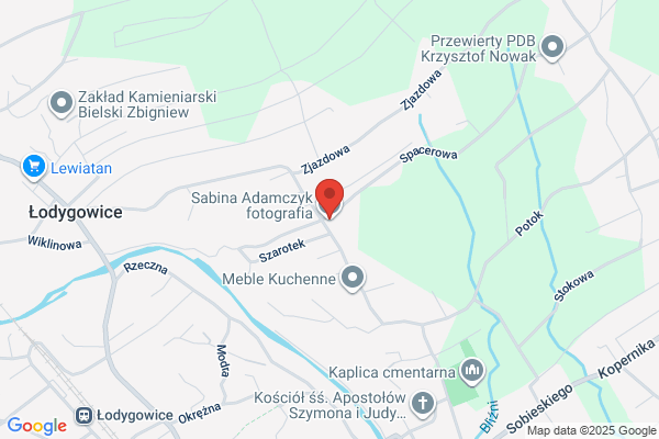 Adamczyk Ryszard. Wideofilmowanie