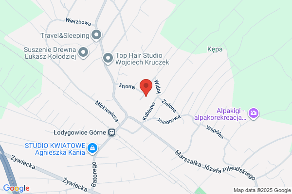 Bistyga Edward. Rzeznictwo, wedliniarstwo