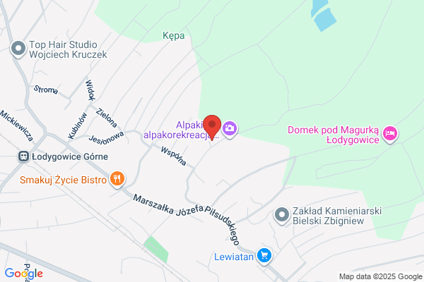 Kania Zdzislaw. Wideofilmowanie