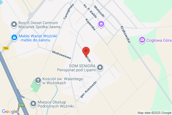 Denisiuk Karol. Autoelektronika