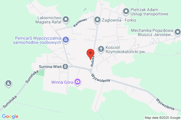 Osinski Krzysztof. Uslugi transportowe