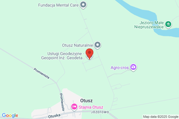Pion. Uslugi geodezyjne. Ptaszynski J., Kuzmiuk M.