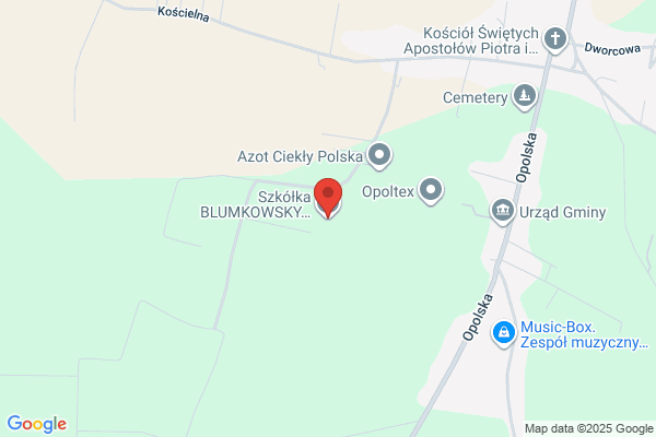 Tewzort. Szkólka drzew i krzewów ozdobnych. Hurt, detal. Dzikowscy