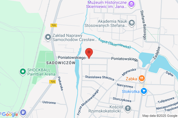 Bieniewicz Dariusz. Zaklad naprawy samochodowych instalacji elektrycznych