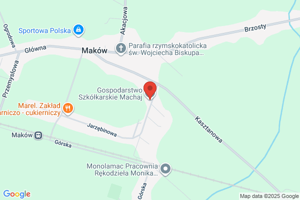 Machaj Piotr. Gospodarstwo szkólkarskie