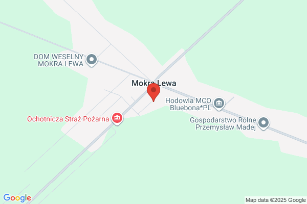 Szkola Podstawowa