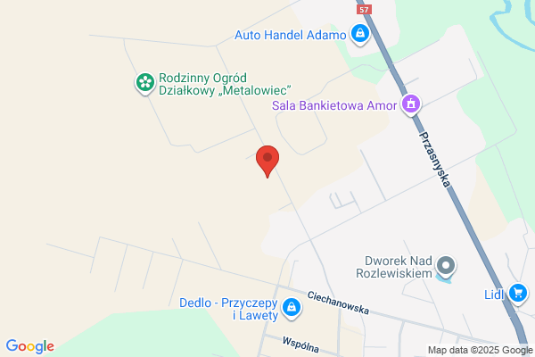 Spóldzielnia Pracy Motoryzacyjno - Transportowa