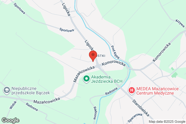 Koszarek Katarzyna. Fryzjerstwo