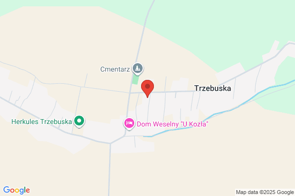 Drew-Dach. Wiezby dachowe, tarcica, deski podbiciowe. Szczygiel A.