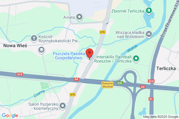 Pasieka. Zespól taneczny