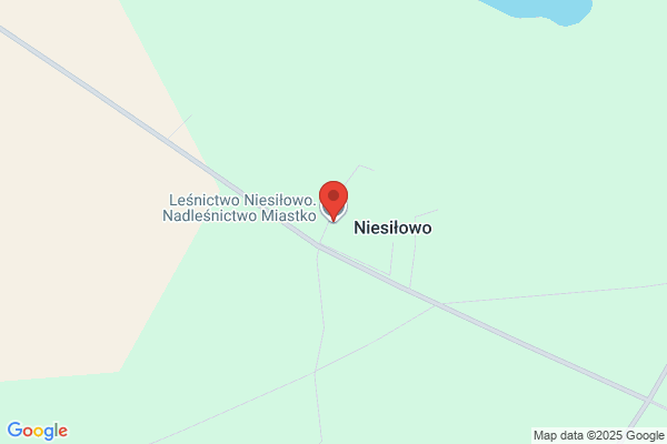 Lesnictwo Niesilowo. Nadlesnictwo Miastko