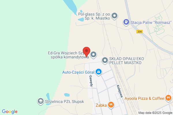 Piorun Szczepan. Transport krajowy i miedzynarodowy. Spedycja