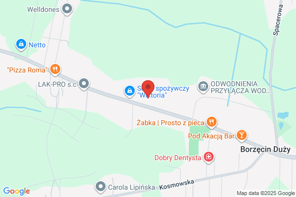 Grobelny Tadeusz. Uslugi transportowe