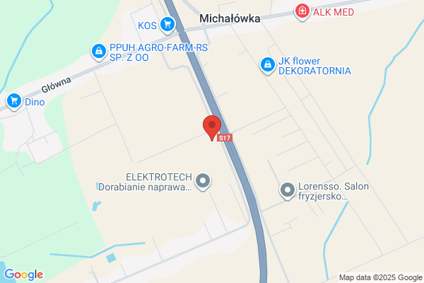 Lechpol. Naglosnienia samochodów