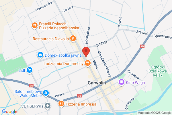 Lingua School. Szkola jezyków obcych