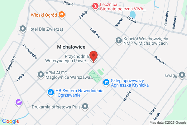 Doktor Pawel. Lecznica dla zwierzat, weterynaria
