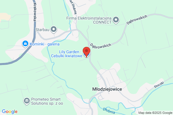 Green-Land. Sp. z o.o. Nasiona, cebule kwiatowe i trawy