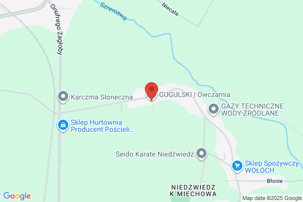 Gugulski Wladyslaw. Zaklad wedliniarski, ubojnia