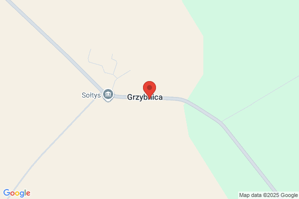 Borsuk-Dynak Izabela. Sklep spozywczo - przemyslowy